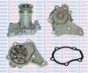AQUAPLUS 85-2645 Water Pump